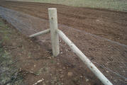 Rabbit Fencing
